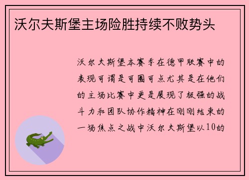 沃尔夫斯堡主场险胜持续不败势头