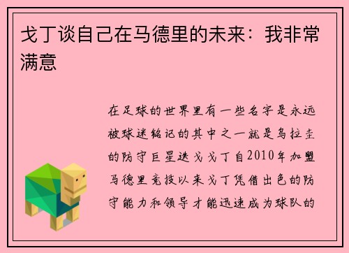 戈丁谈自己在马德里的未来：我非常满意